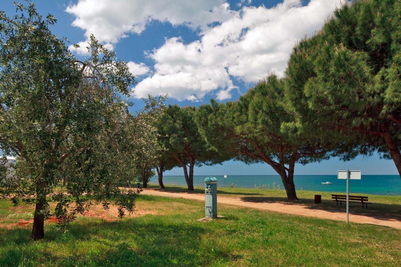 Eurocamp Mobile Homes At Campsite Park Parque de vacaciones Umag